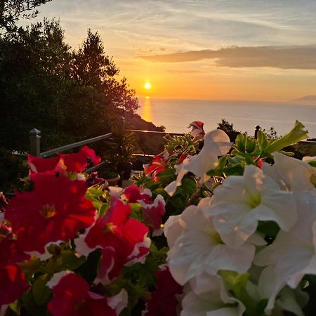 Amar Seaside Lägenhet Ksamil Exteriör bild